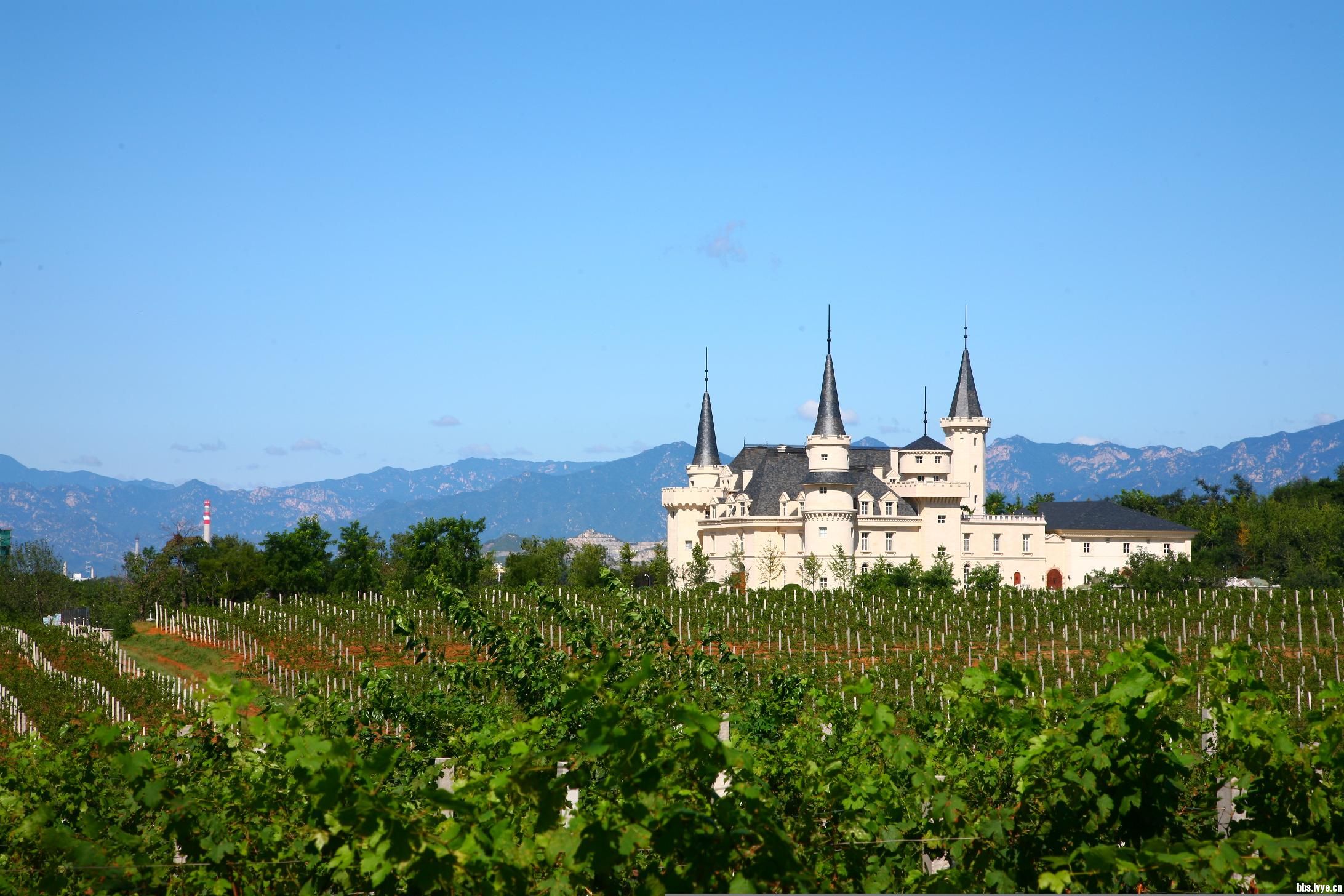 7月7日 紅酒莊園和熏衣草莊園休閑一日拍照攝影活動(dòng)-綠野各地-綠野各地-綠野戶外網(wǎng)