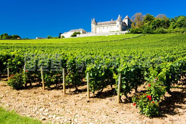 法國勃艮第葡萄酒莊園
