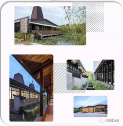 嘉興的豬肉又挺進上海啦