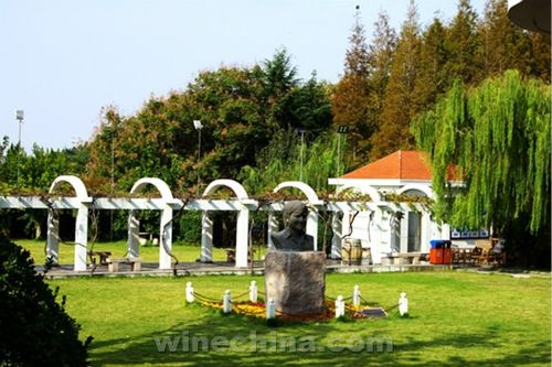 圖說 中國精品酒莊游 之華東百利酒莊