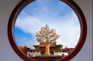 感恩各界,載譽前行 中國河源 巴伐利亞莊園 美好生活 理想莊園 產品推介會暨聯歡晚會在堅基越王廣場歡樂開演