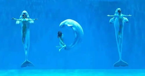 5 19 中國旅游日 哈爾濱線上線下主題活動精彩紛呈