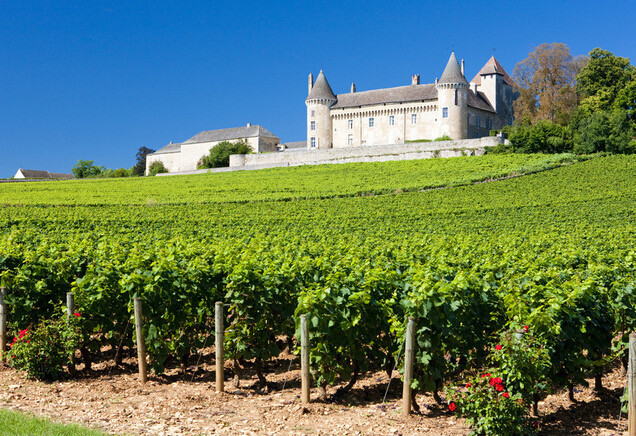 法國酒莊排名第一竟是 --(白馬莊園)
