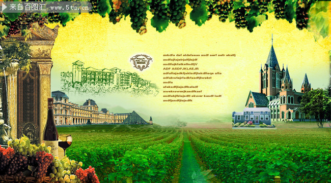 葡萄酒莊園圖片