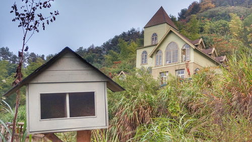 桐廬多森莊園,向往的生活