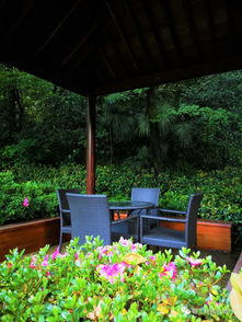 杭州山間竟藏了個(gè)自帶動(dòng)物園的英式莊園 杭城唯一全球奢華精品酒店