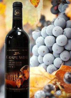 煙臺(tái)葡萄酒招商加盟-龍葡古藤新品上市