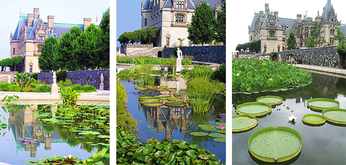 比爾摩莊園--美國(guó)較大私人莊園