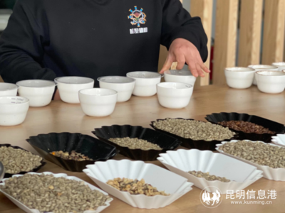 &ldquo;云南時間農(nóng)業(yè)&rdquo;讓云南的咖啡香味,飄向世界