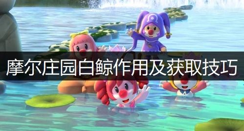 摩爾莊園白鯨怎么釣 摩爾莊園手游白鯨作用及獲取技巧說明