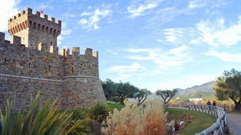 舊金山 納帕谷 3大酒莊品酒之旅 精品一日游 酒莊可自選 行程可調整 可定制