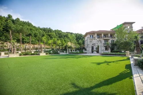 免費住 溫州人春節游玩民宿酒店攻略 歡樂過節啊