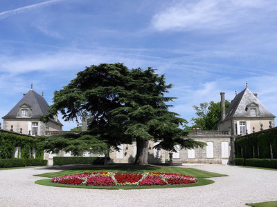 波爾多酒莊參觀,關于美酒的朝圣之旅