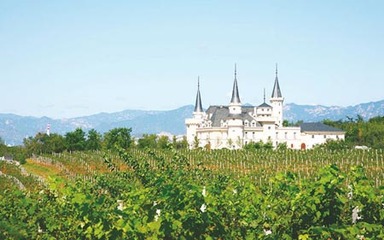 英國六大著名葡萄酒莊園