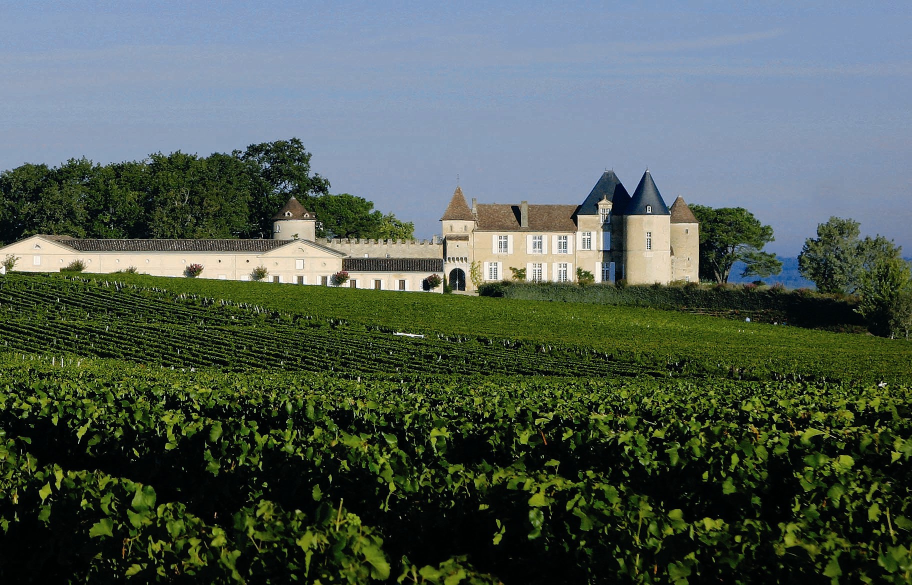 進口葡萄酒和國產葡萄酒的區別