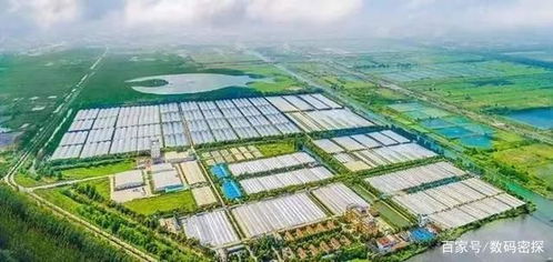 日本光伏廠商宣告停產(chǎn),曾經(jīng)世界第一的工廠,最終敗給中國企業(yè)