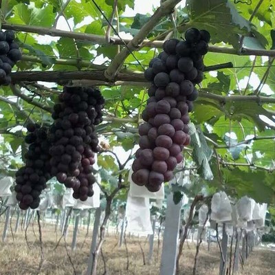 產(chǎn)品供應(yīng)