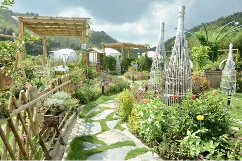 柴泉農逗 花藝莊園