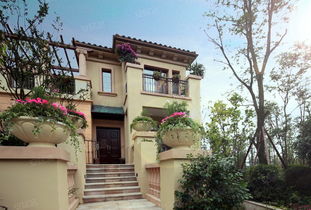 成都保利拉斐莊園 實景圖 4 成都安居客