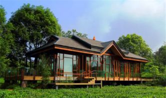 柏聯普洱2014年莊園 心境開湯