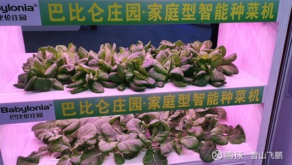 高交會上的那些奇葩產品