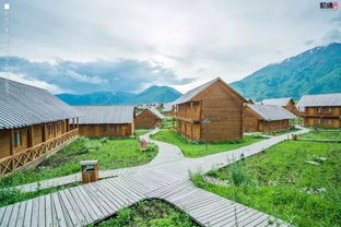 很抱歉通知你,新疆產品明天過后就