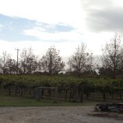 瑪格利特河莊園旅游全攻略 門票、地址、游覽順序與注意事項