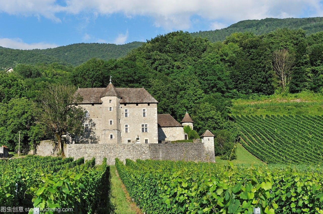 探索湖莊園附近的Ruffieux Chautagne葡萄園 薩瓦阿爾卑斯大區的瑰寶