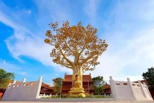 溫泉季專屬體驗(yàn) 299元盡享河源巴伐利亞溫泉小鎮(zhèn)國(guó)藥溫泉與途家度假公寓