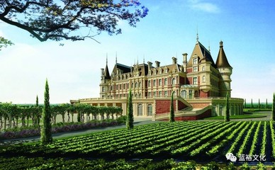 探索葡萄酒莊園 一場(chǎng)醇香之旅的完美規(guī)劃