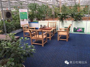 章丘吳家莊園 萬畝中草藥種植基地助力藥材健康產品創新