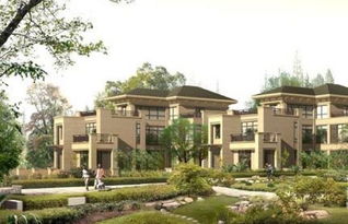 龍山莊園樓盤最新解析 安吉華都項(xiàng)目背后的真相揭示