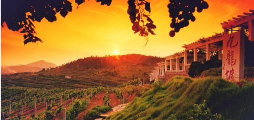 華東葡萄酒莊園 國家級工業(yè)旅游示范點(diǎn)的自然與人文之美