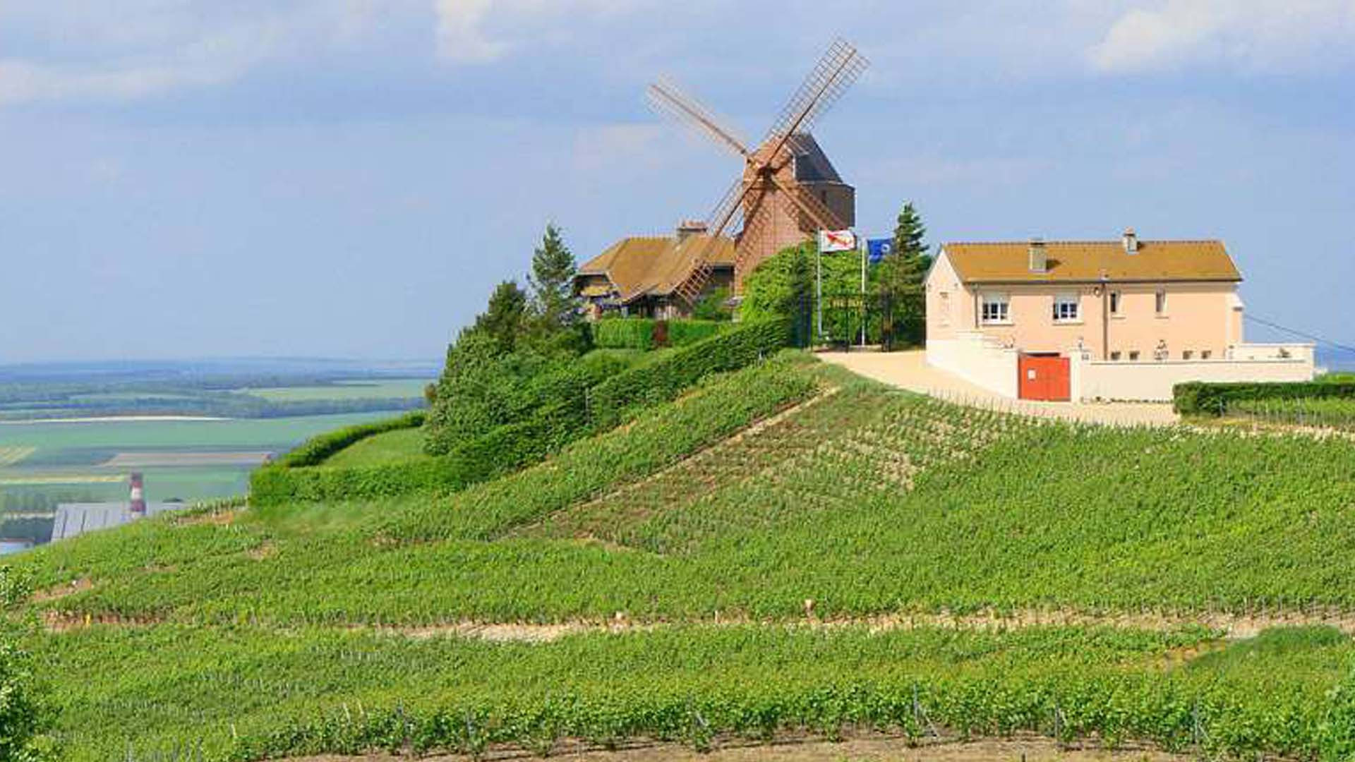 2018年法國葡萄酒莊園最新排名 品味卓越與風(fēng)土的榮耀