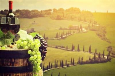 葡萄酒莊園 一隅風(fēng)土的完美詮釋